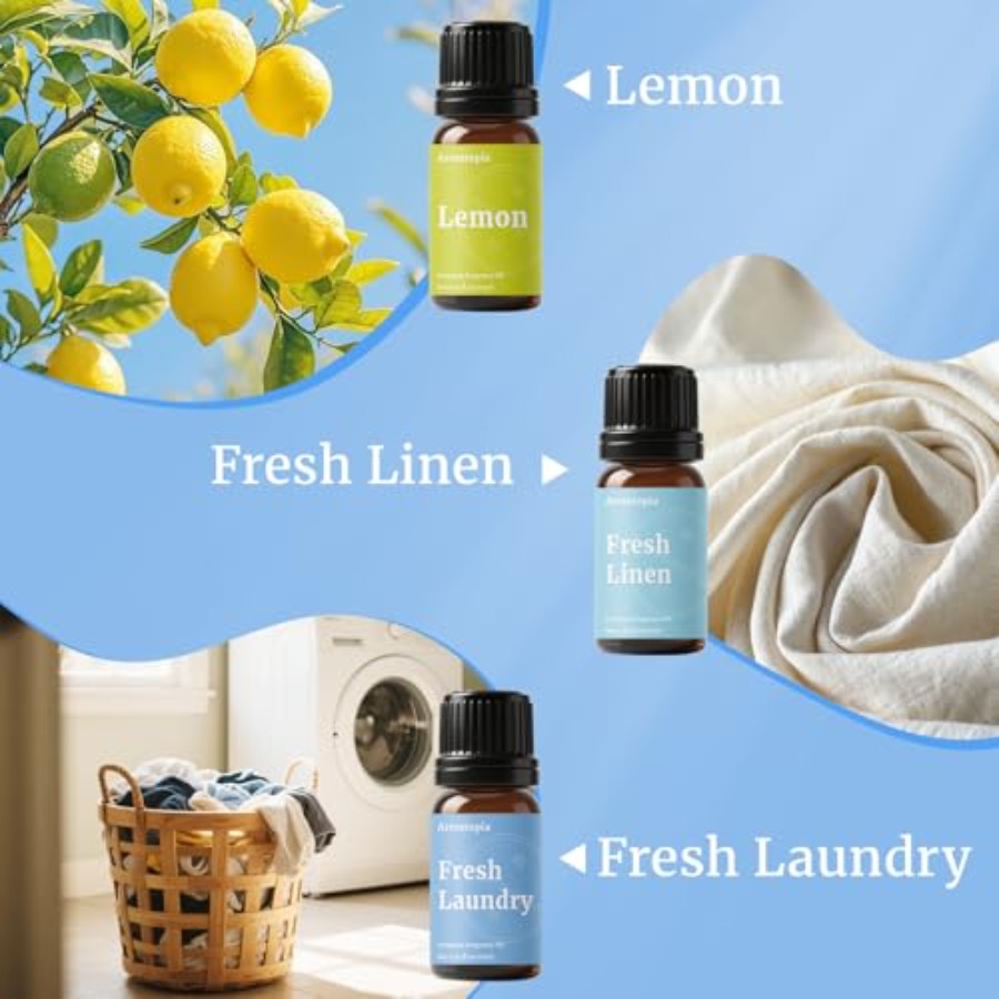 Diffuser Fragrance Oils, Essen - مراجعة Candle Making Oil Scents وسعره