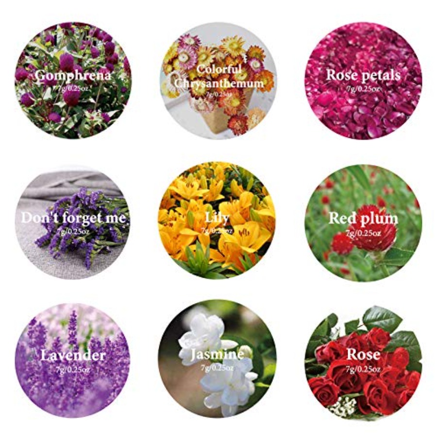 9 Bags Dried Flowers,100% Natu - مراجعة Candle Making Kit وسعره